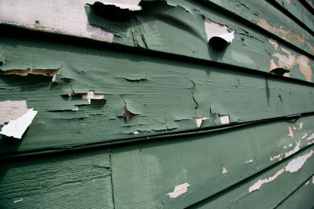 Best Demolition Debris Removal  in Shepherdsville, KY