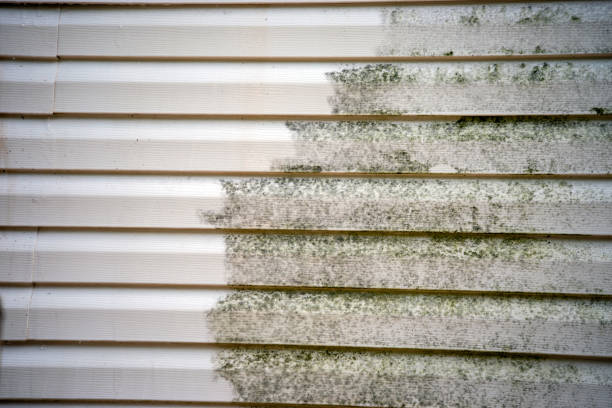 Best Moving and Downsizing Cleanouts  in Shepherdsville, KY